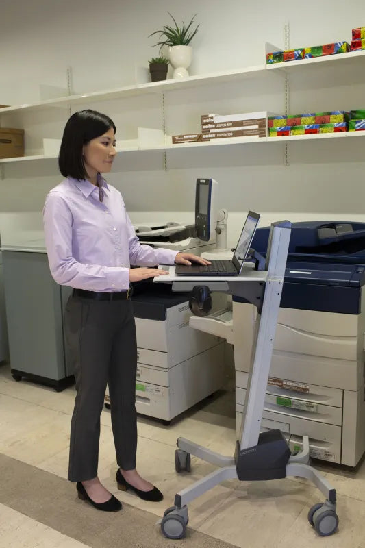 Ergotron 24-205-214 Carucior mobil laptop NEO-FLEX 20IN 6.8KG constant force, 698833015119