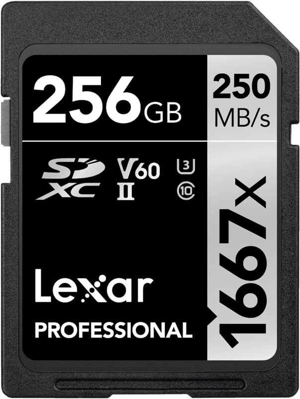 Lexar LSD256CB1667 SDXC Pro 1667X UHS-II U3 R250/W120 (V60) 256G, 843367114962