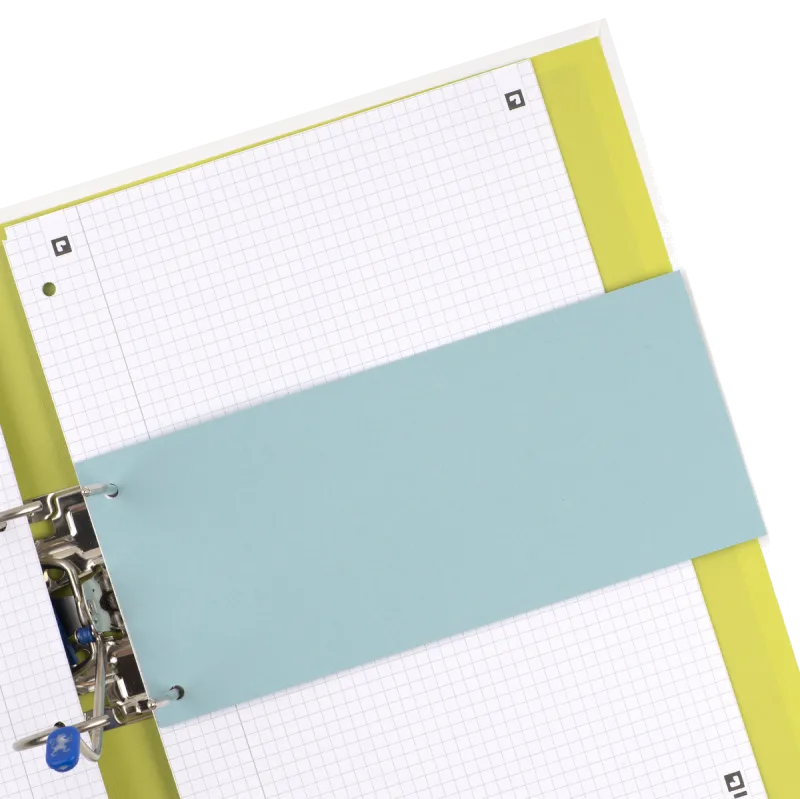 OXFORD 100205025 Set 100 Separatoare carton 105x240mm carton 190g/mp Albastru