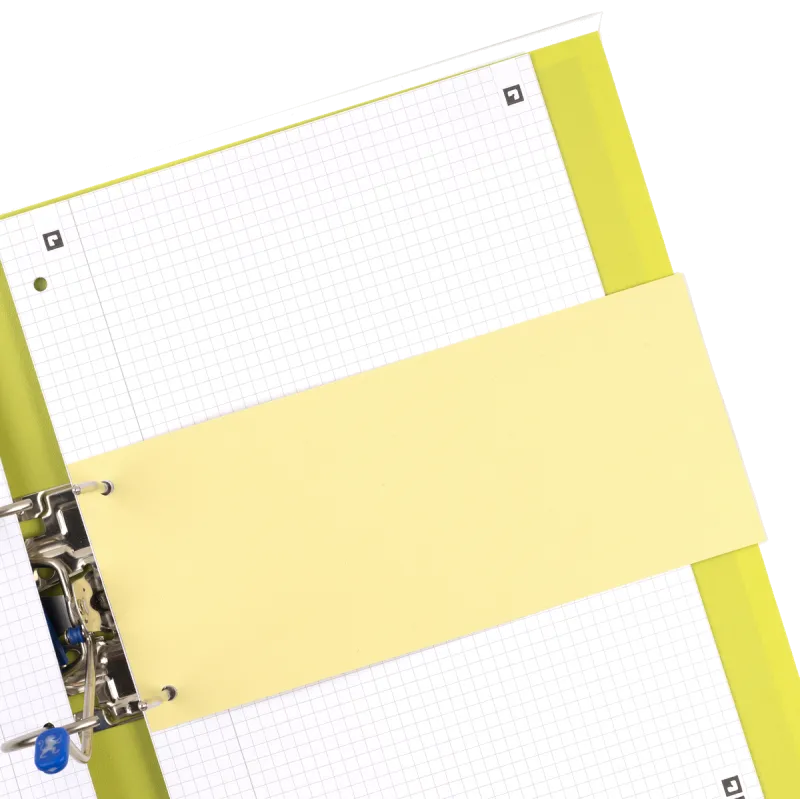 OXFORD 100205026 Set 100 Separatoare carton 105x240mm carton 190g/mp Galben