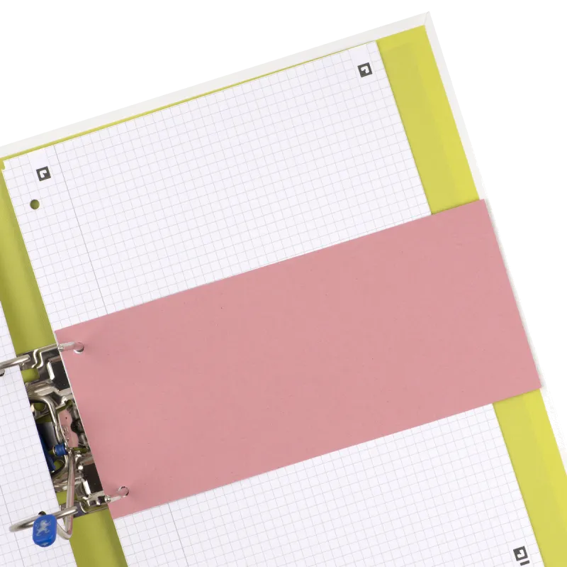 OXFORD 100205027 Set 100 Separatoare carton 105x240mm carton 190g/mp rosu