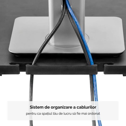 Fellowes 9169401 Fellowes Premium monitor riser graphite - suport pentru monitor 0043859529742