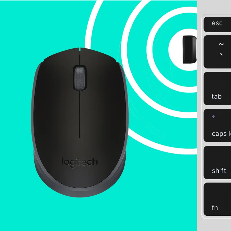 Logitech 910-004798 B170 Mouse optic 2.4 GHz wireless, 2 butoane + scroll, USB, Nano-receiver, 5099206065062