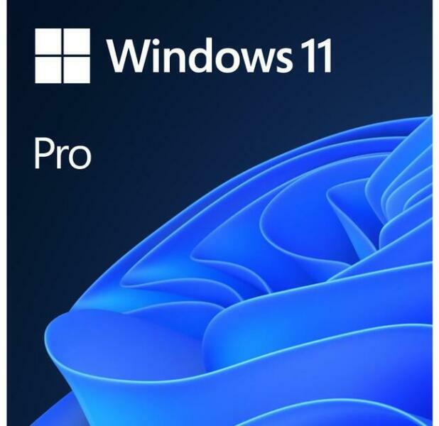 Microsoft FQC-10528 Licenta OEM Microsoft Windows 11 Pro 64 bit English DVD, 889842905892