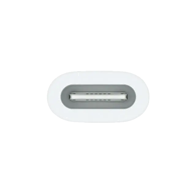 Apple MQLU3ZM/A USB-C to Pencil Adapter, 194253665199