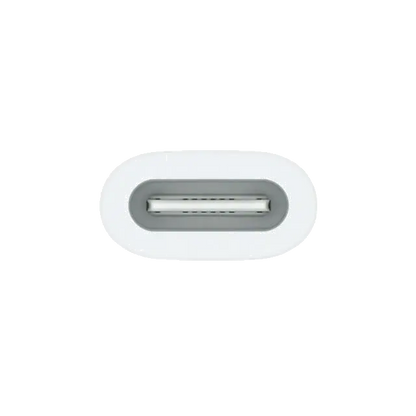 Apple MQLU3ZM/A USB-C to Pencil Adapter, 194253665199