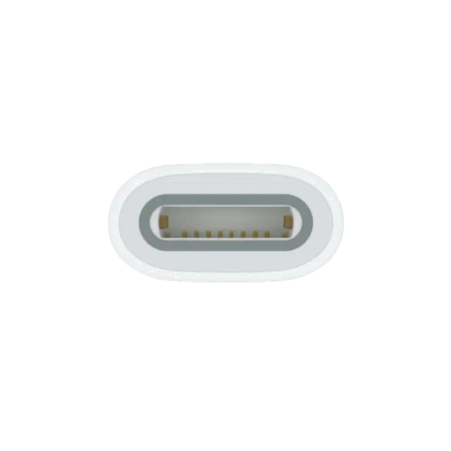 Apple MQLU3ZM/A USB-C to Pencil Adapter, 194253665199