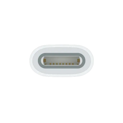 Apple MQLU3ZM/A USB-C to Pencil Adapter, 194253665199