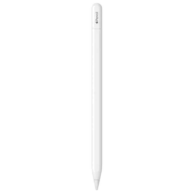 Apple MUWA3ZM/A Pencil (USB-C), 195949133695