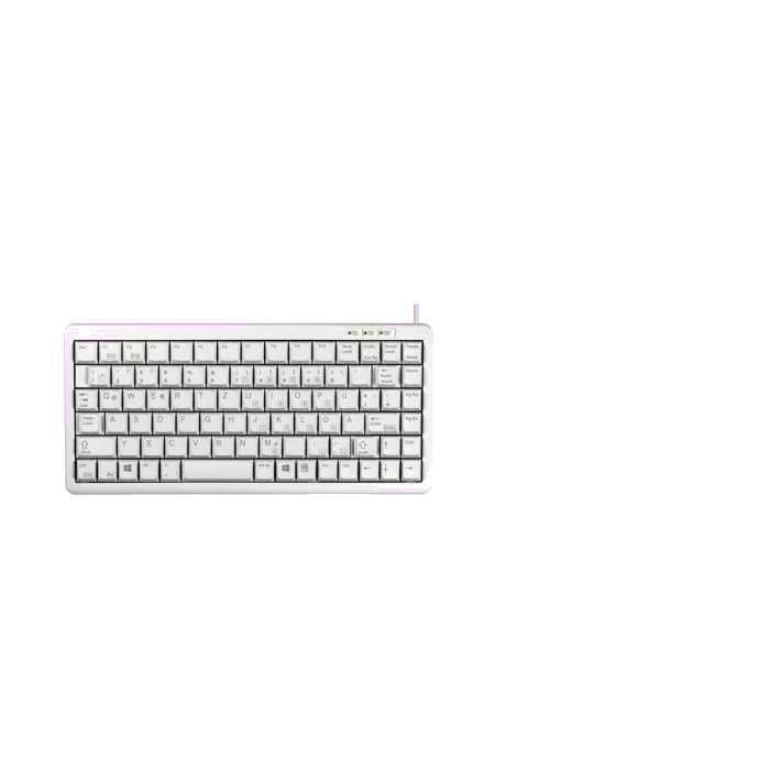 Cherry G84-4100LCADE-0 G84-4100 Tastatură compactă, DE (Germania) Layout, gri, USB-A, PS/2, 4025112027253