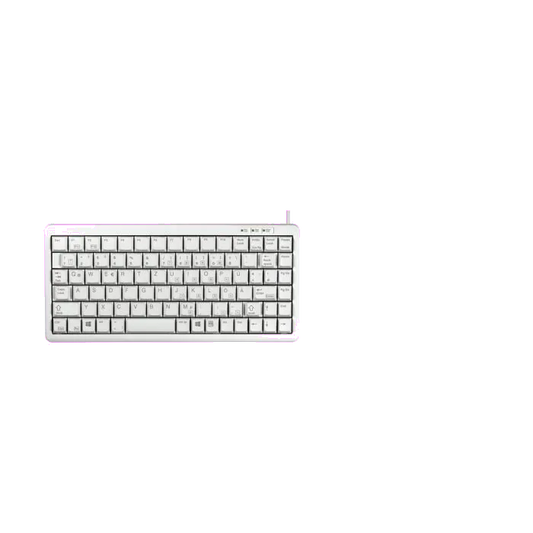 Cherry G84-4100LCADE-0 G84-4100 Tastatură compactă, DE (Germania) Layout, gri, USB-A, PS/2, 4025112027253