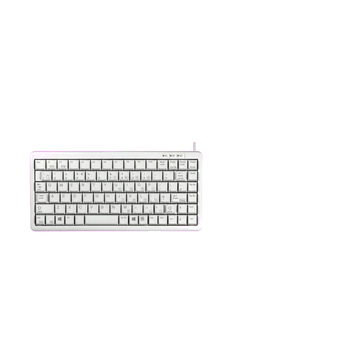 Cherry G84-4100LCAGB-0 G84-4100 Tastatură compactă, GB (UK) Layout, gri, USB-A, PS/2, 4025112027260