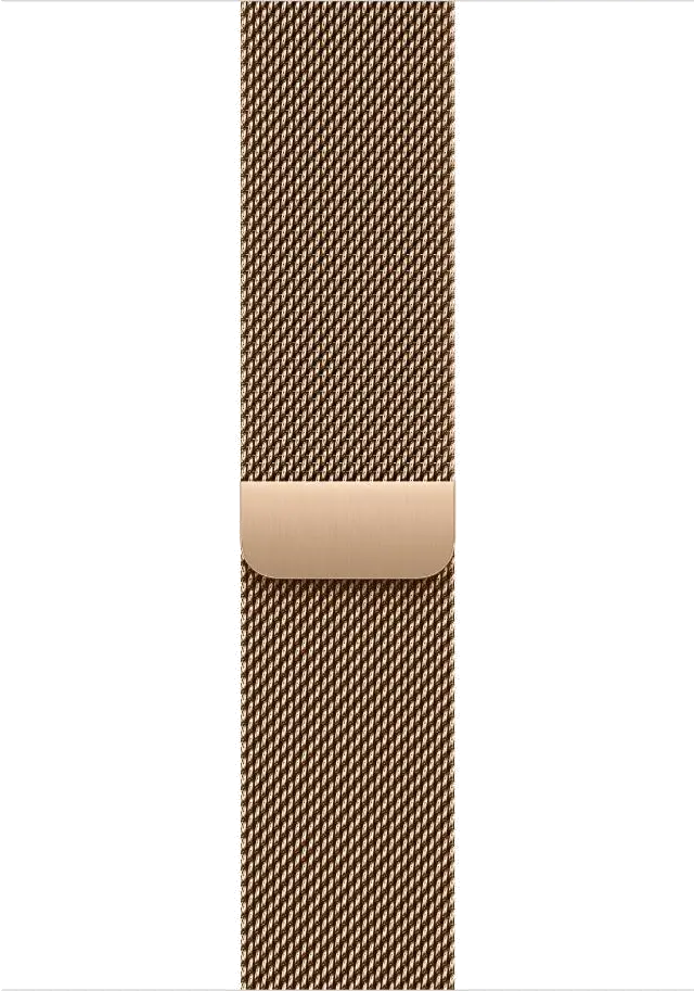 Apple MC7T4QC/A Watch S10 Cellular 46mm Gold Titanium Case with Gold Milanese Loop S/M, 195949896682