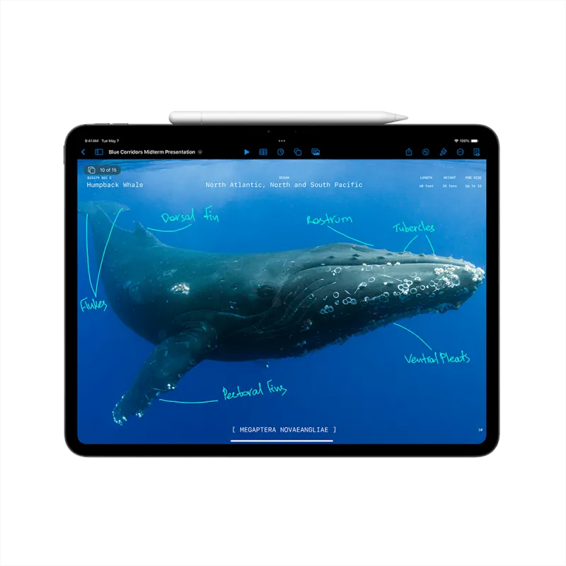 Apple MVXX3HC/A iPad Pro 13 inch M4, 1TB, Cellular, Standard Glass, Silver, 195949246654