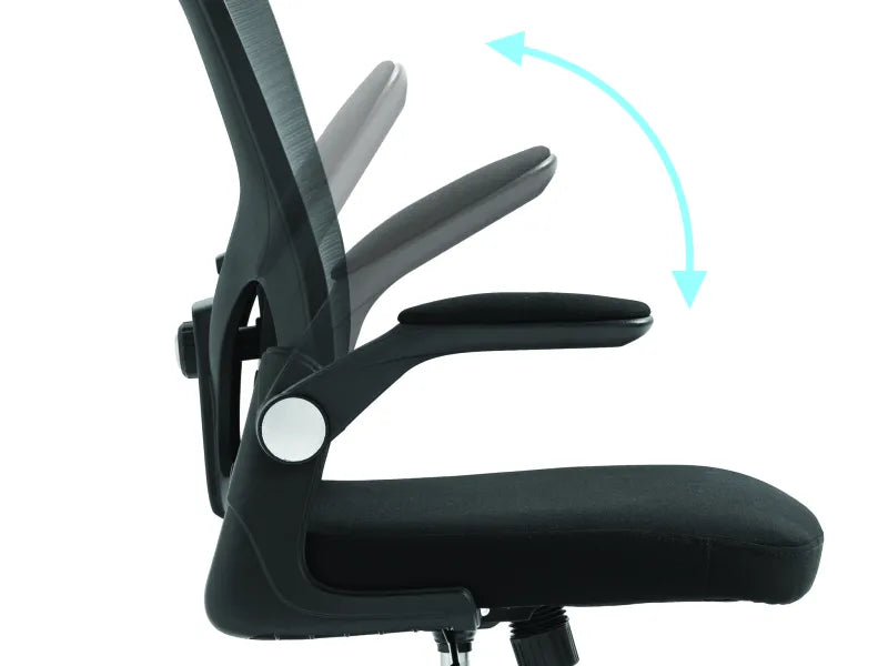 Sandberg 640-97 ErgoFusion Gaming Chair Basic scaun ergonomic, 5705730640971
