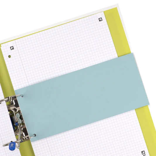 OXFORD 100205025 Set 100 Separatoare carton 105x240mm carton 190g/mp Albastru