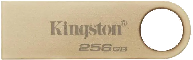 Kingston DTSE9G3/256GB DataTraveler SE9 G3 Flash Drive 256GB 220MB/s read, 100MB/s write, USB-A (USB 3.2 Gen 1), Metal, 740617341379