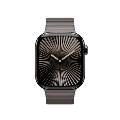 Apple MXMD3ZM/A Apple Watch 42mm Link Bracelet: Slate Link Bracelet, 195949658143