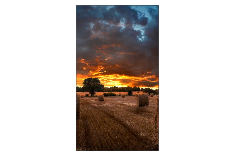 Samsung LH55VMBUBGBXEN VM55B-U Ecran videowall 55inch, 8806094366105