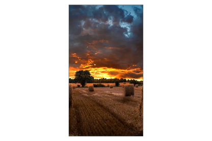 Samsung LH55VMBUBGBXEN VM55B-U Ecran videowall 55inch, 8806094366105