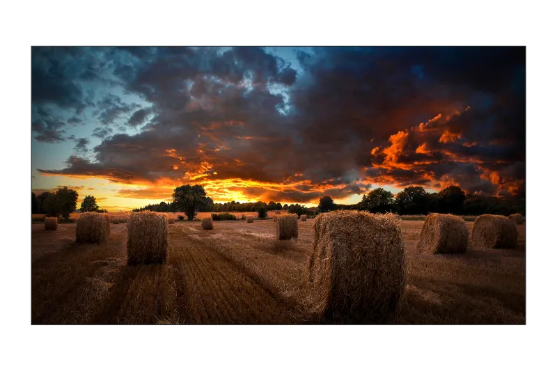 Samsung LH55VMBUBGBXEN VM55B-U Ecran videowall 55inch, 8806094366105