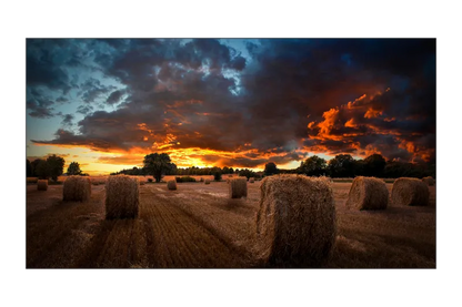 Samsung LH55VMBUBGBXEN VM55B-U Ecran videowall 55inch, 8806094366105