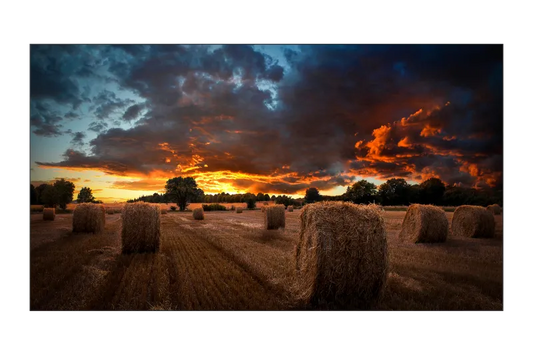 Samsung LH55VMBUBGBXEN VM55B-U Ecran videowall 55inch, 8806094366105