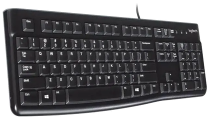 Logitech 920-002479 K120 Tastatura Business, USB, 5099206021334