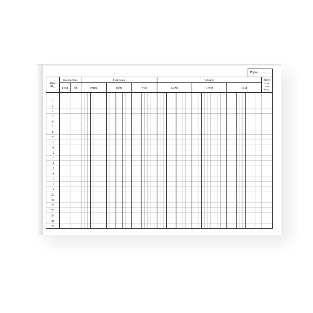 Office 16913 Set 100 fise cont analitic fata/verso, carton duplex 230g