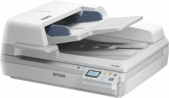 Epson B11B204331BT WorkForce DS-70000N Scanner de retea A3, 600 DPI (Horizontal x Vertical), 8715946510606