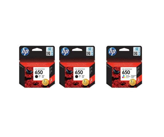 HP HPCZ101AEx2-CZ102AE Pachet cartuse cerneala CZ101AE (650) negru x 2 + CZ102AE (650)