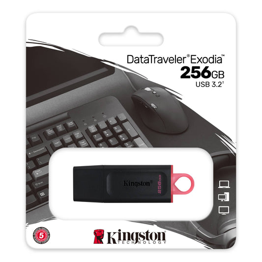 Kingston DTX/256GB Stick USB 256GB USB 3.2 DataTraveler Exodia (Black + Pink), 740617310023